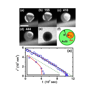 Determination of Size-Effects during the Phase Transition of a Nanoscale Au-Si Eutectic